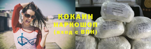 ПСИЛОЦИБИНОВЫЕ ГРИБЫ Абаза