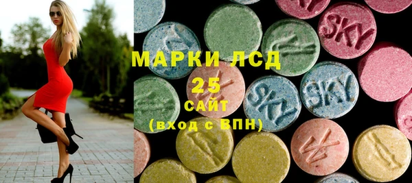 ПСИЛОЦИБИНОВЫЕ ГРИБЫ Абаза