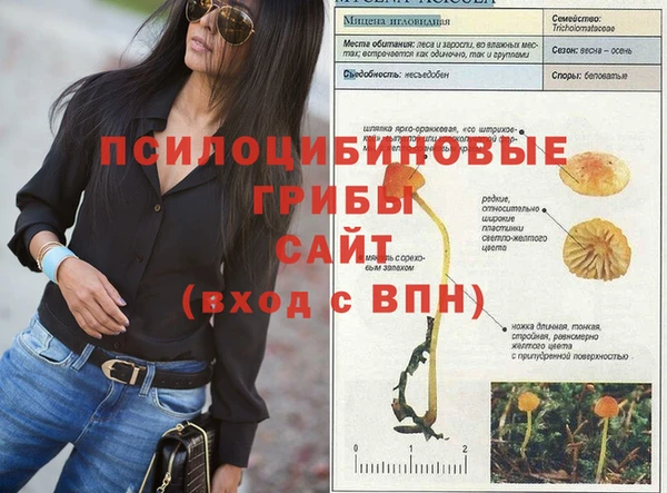 ПСИЛОЦИБИНОВЫЕ ГРИБЫ Абаза