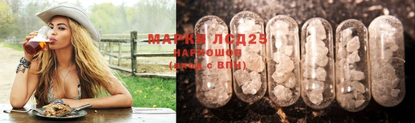 ПСИЛОЦИБИНОВЫЕ ГРИБЫ Абаза