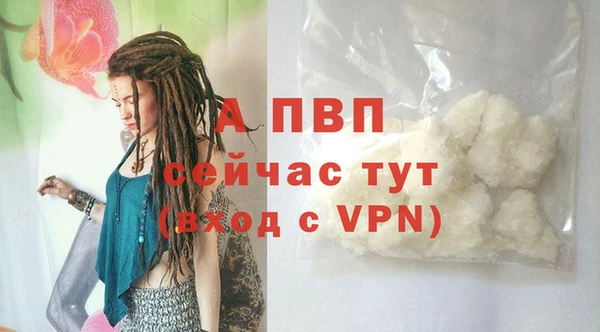 СК Абинск